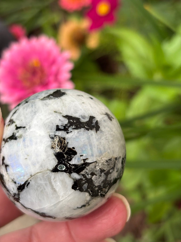 Rainbow Moonstone - Sphere | India