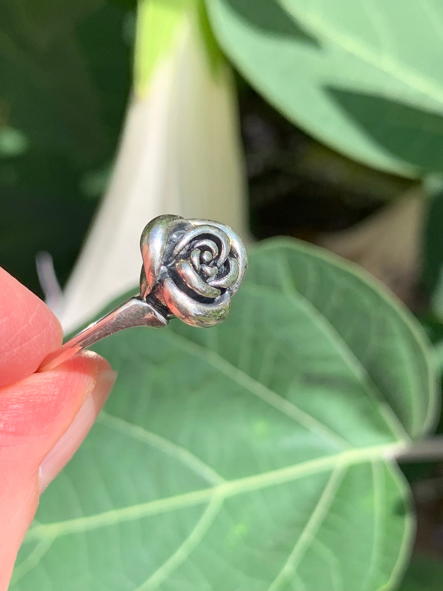 Sterling Silver ROSE Ring 8.5