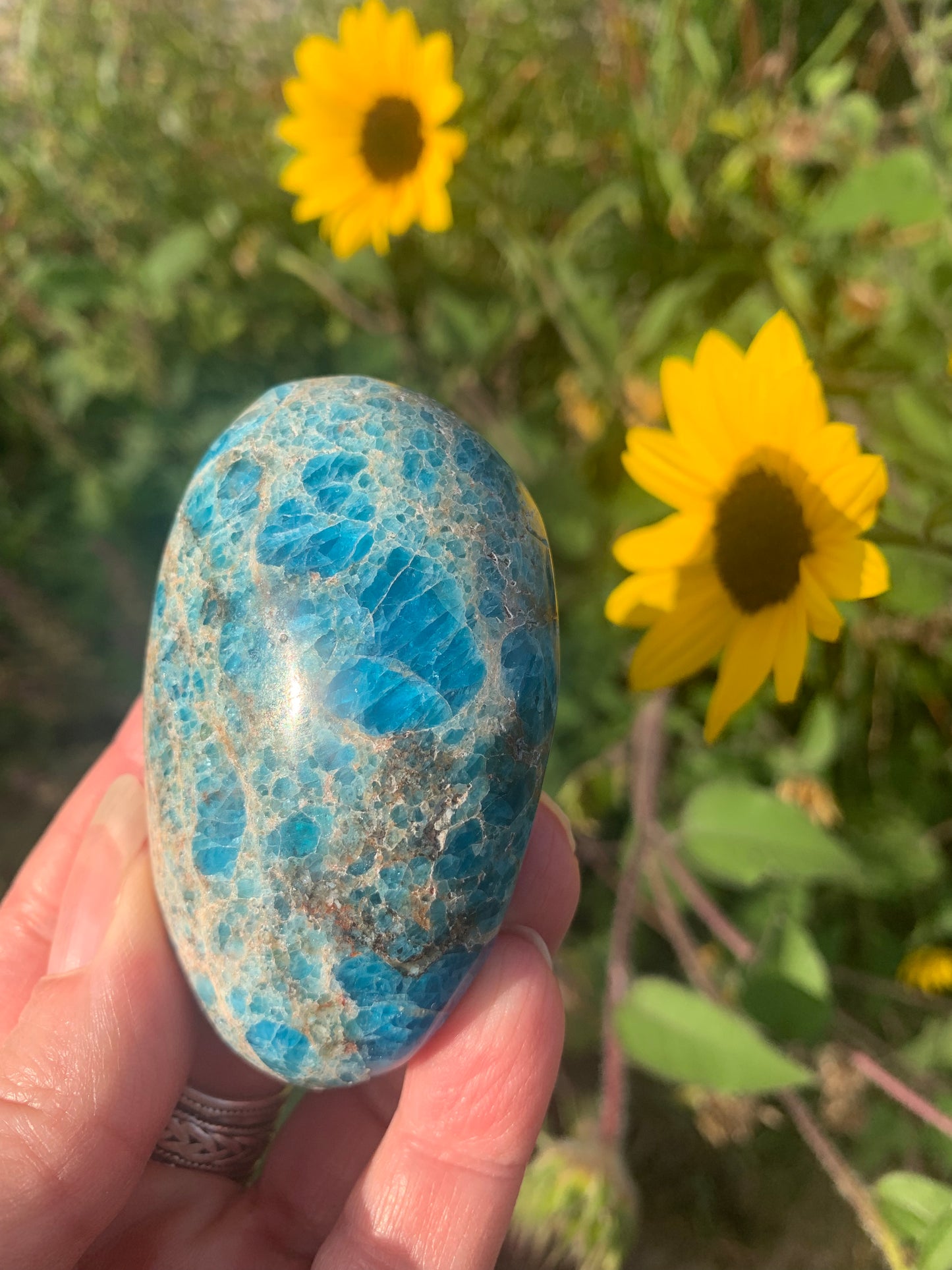 Blue Apatite Palm Stone