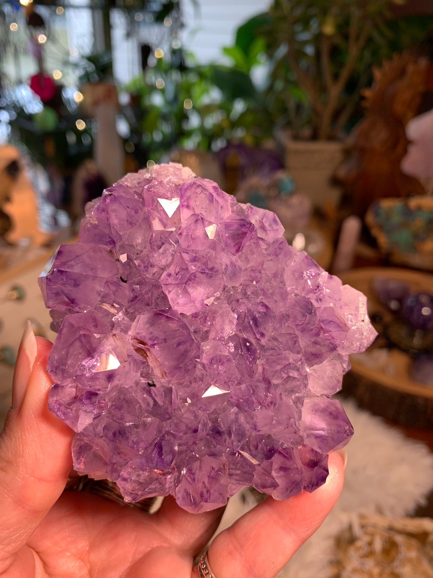 Phantom Amethyst - Cluster - Brazil