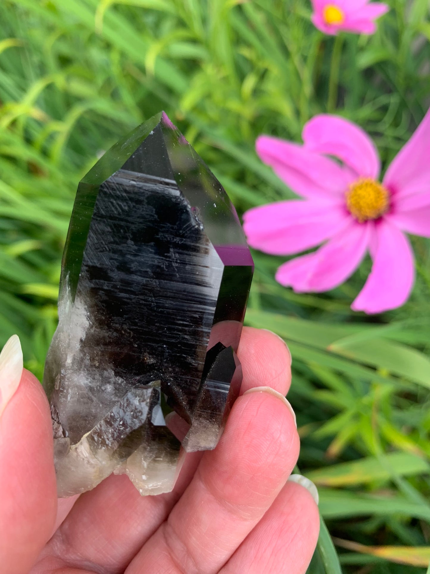 Smokey Quartz Cluster - Arkansas