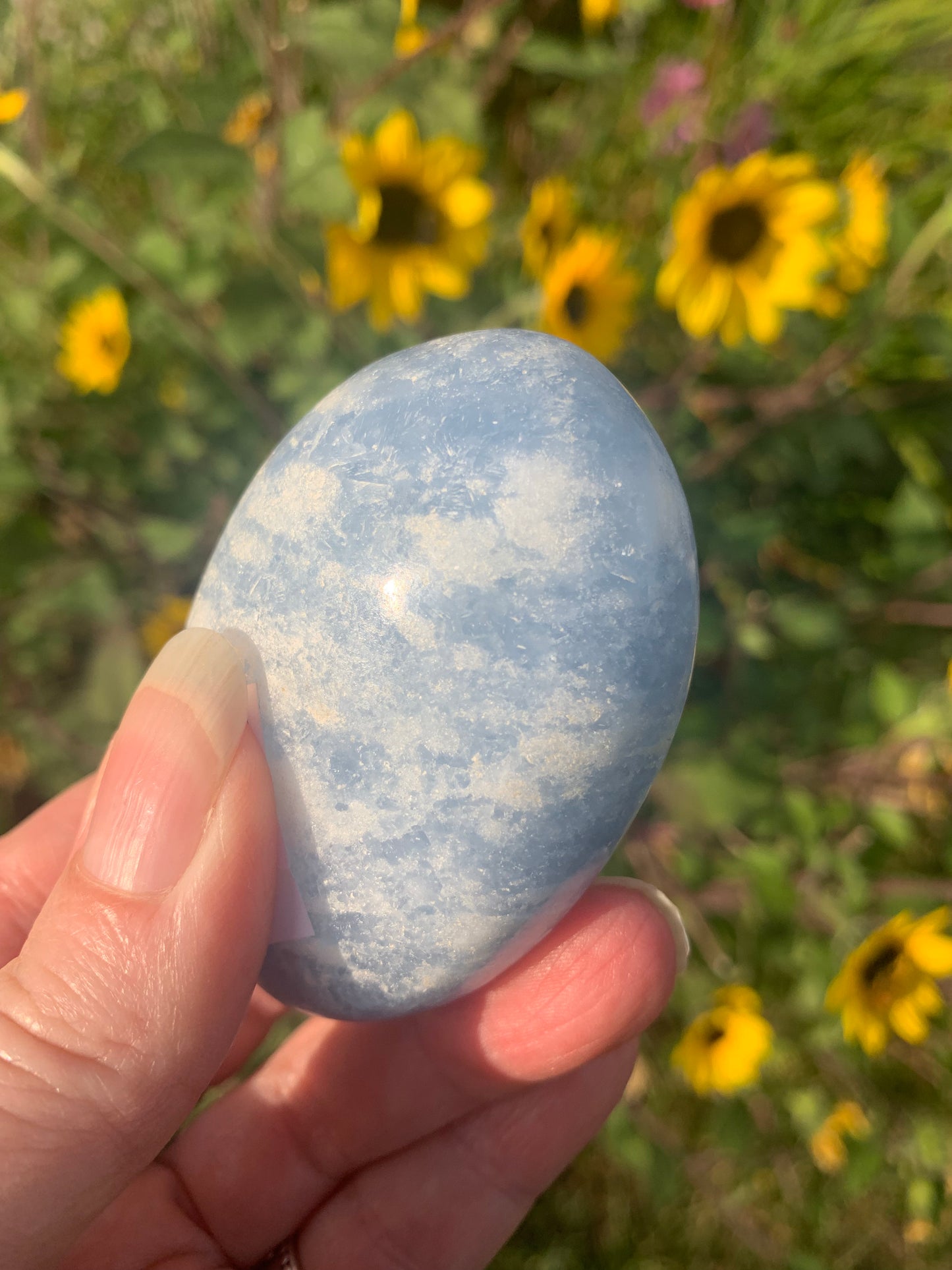 Blue Calcite Palm Stone