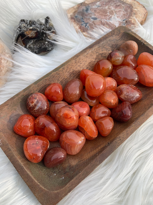 Carnelian tumble bundle