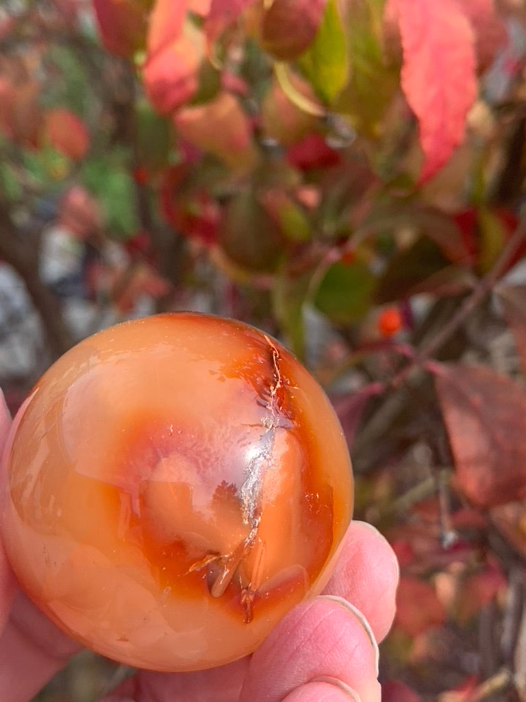 Carnelian Sphere - Madagascar