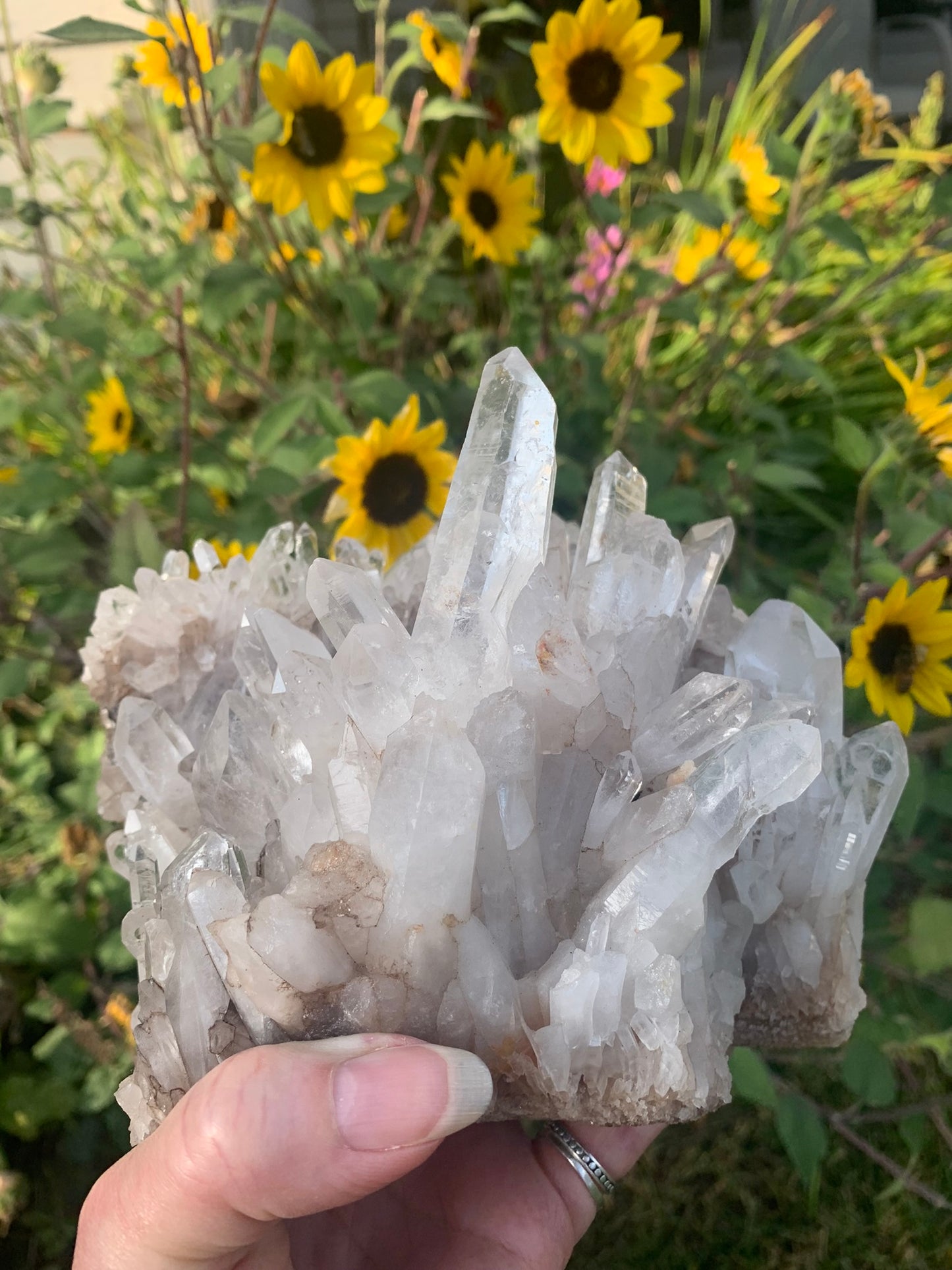 Lemurian Quartz Cluster