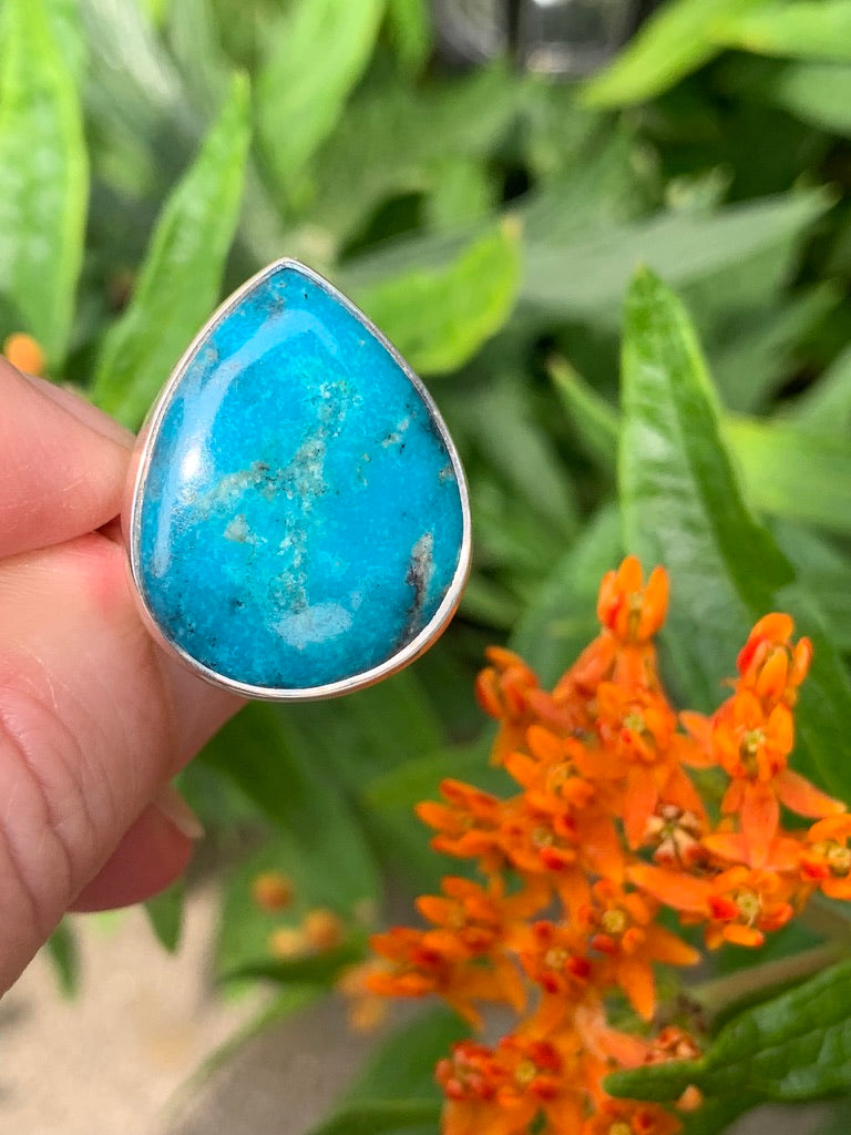 Kingman Turquoise Ring size 9.5