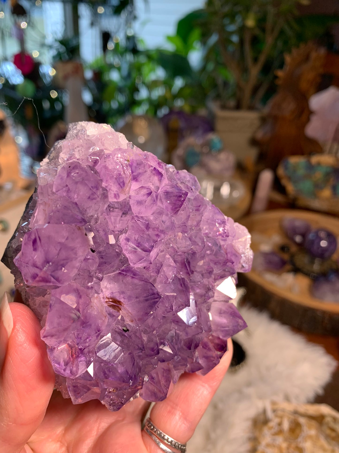 Phantom Amethyst - Cluster - Brazil