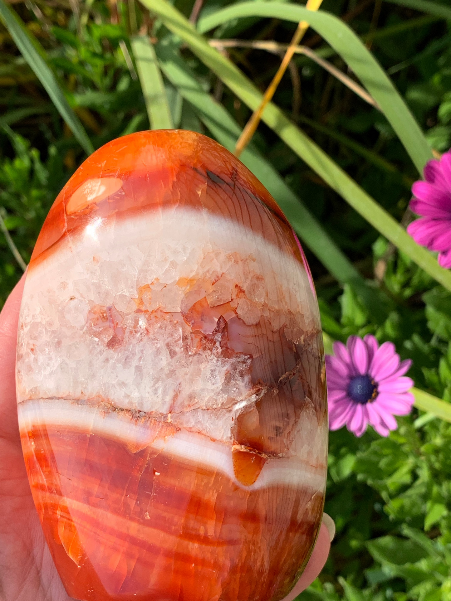 Carnelian Free Form - Madagascar