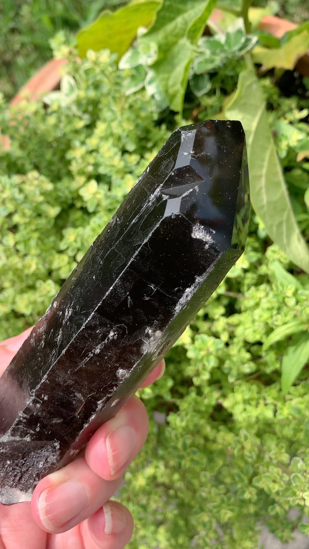 Smokey Quartz Point - Brazil