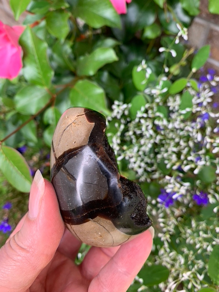 Septarian Druzy Dragon Egg - Madagascar