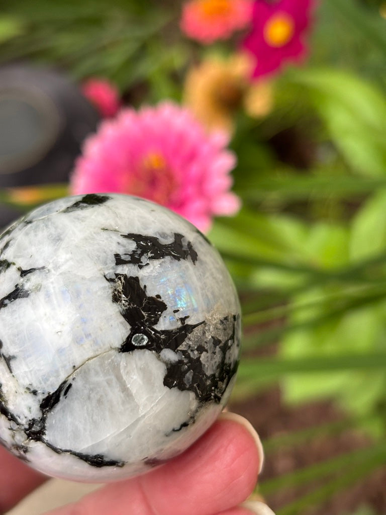 Rainbow Moonstone - Sphere | India