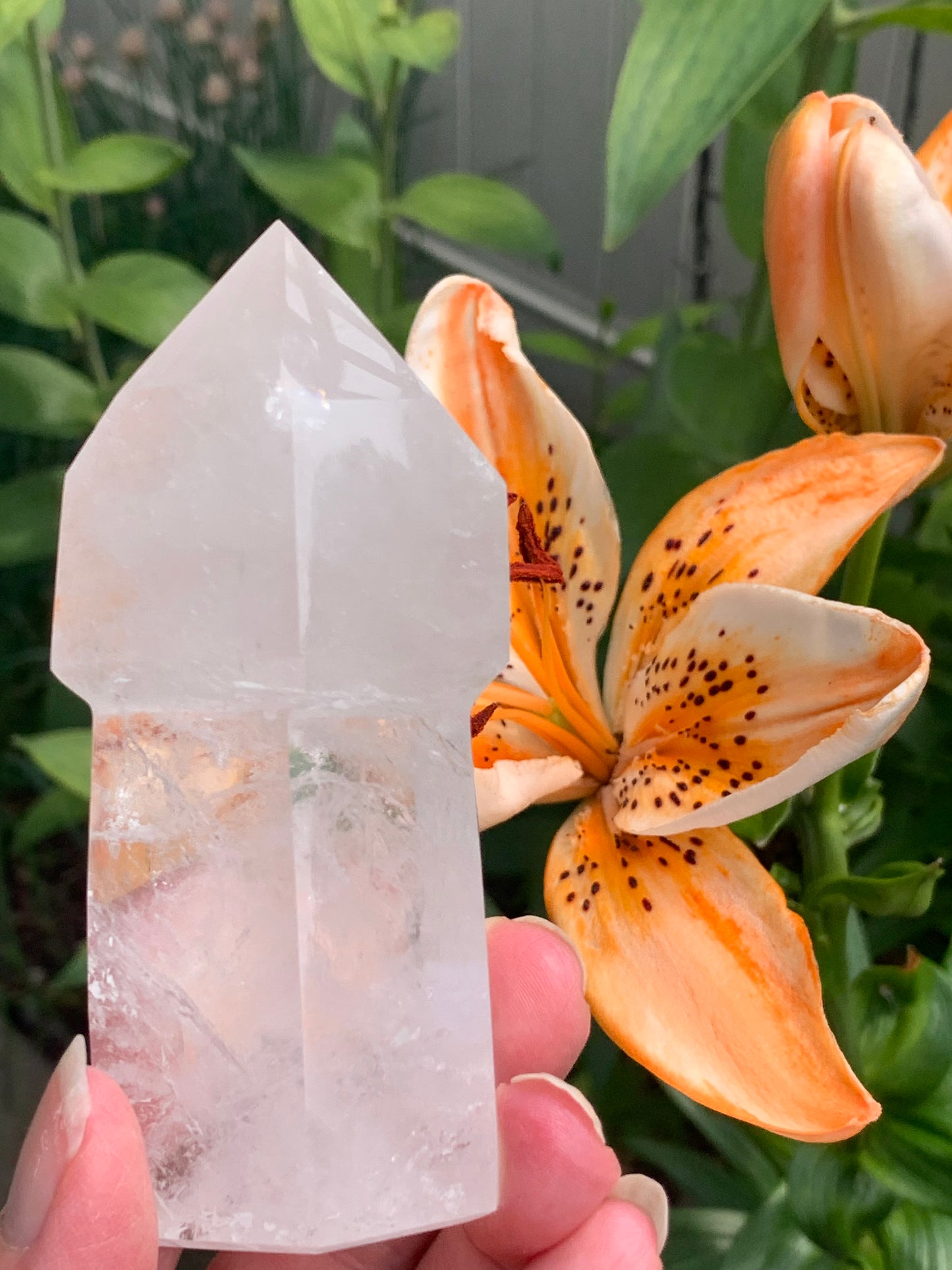 Quartz Scepter - Medium