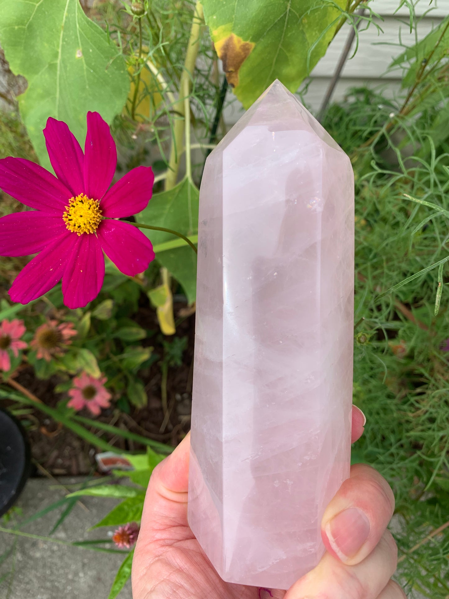 Rose Quartz Generator - Madagascar