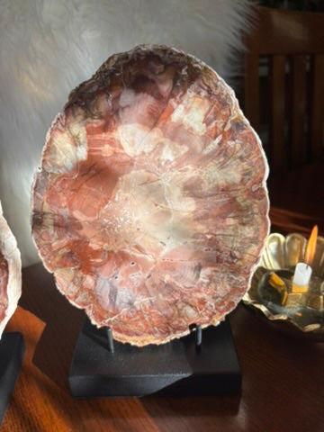 Petrified Wood charging plate set - Madagascar