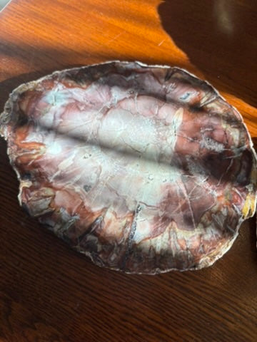 Petrified Wood charging plate set - Madagascar