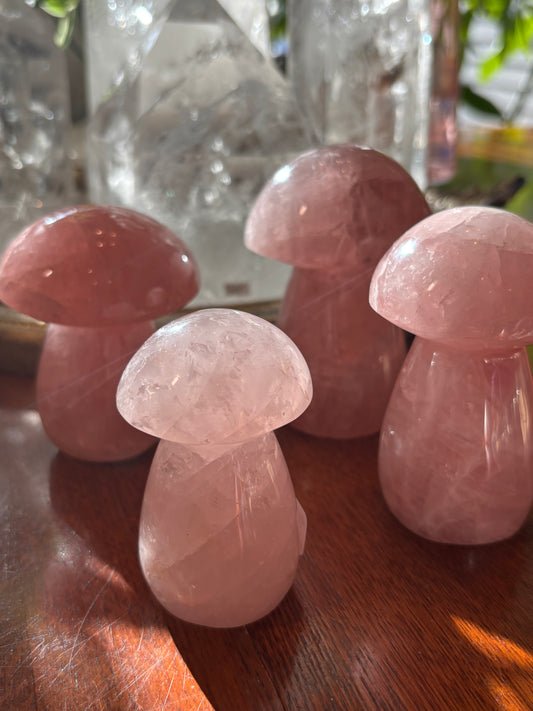 Rose Quartz - Mushroom | Madagascar
