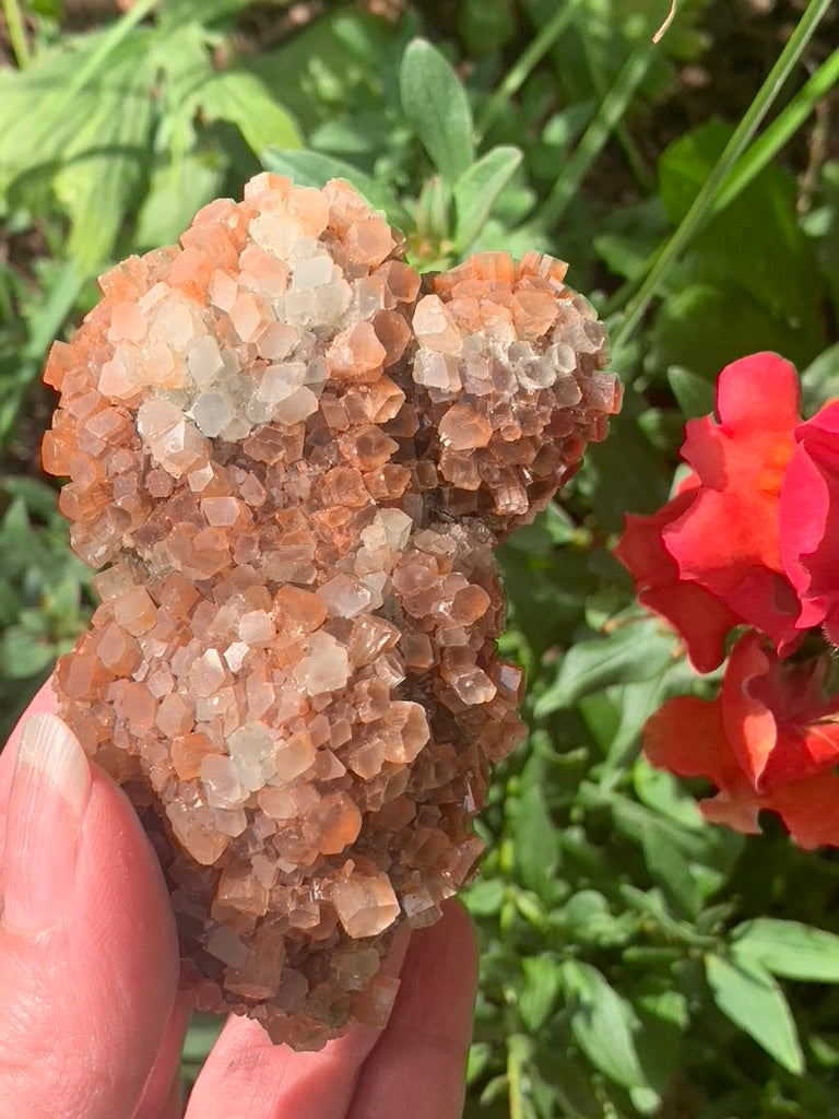 Star Aragonite Cluster