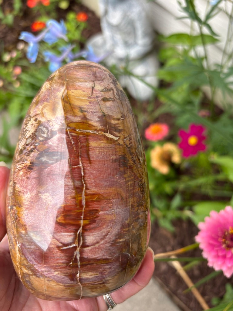 Petrified Wood - Free Form - Madagascar