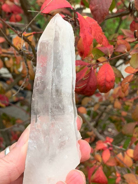 Lemurian Quartz Point