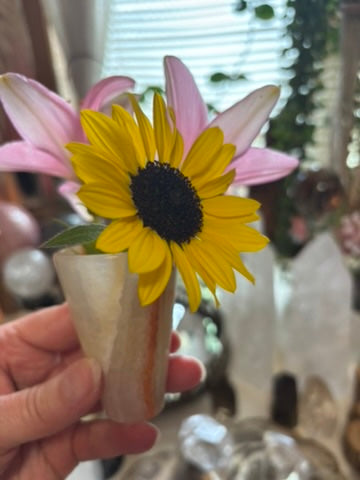 Onyx - Mini Vase - Shot Glass