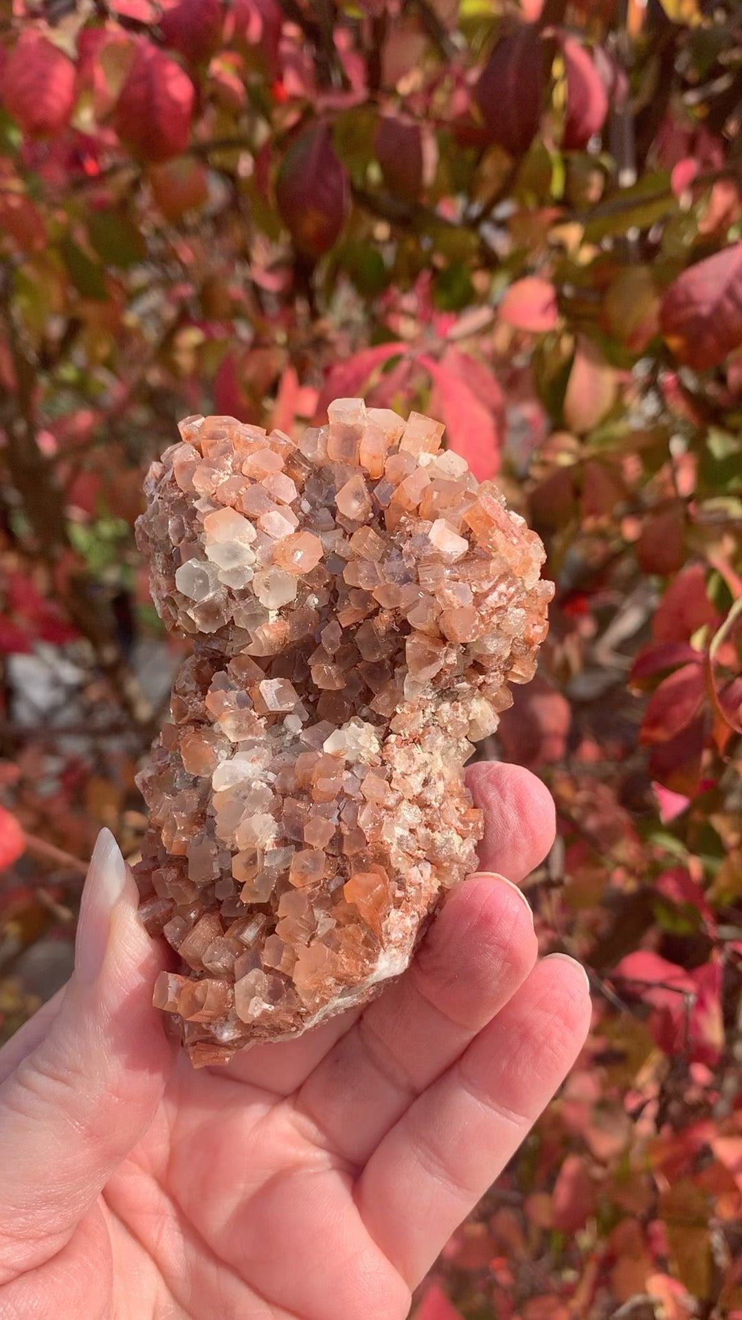 Star Aragonite Cluster