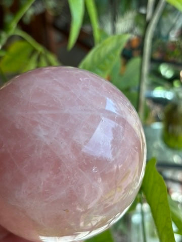 Rose Quartz | Sphere | Madagascar