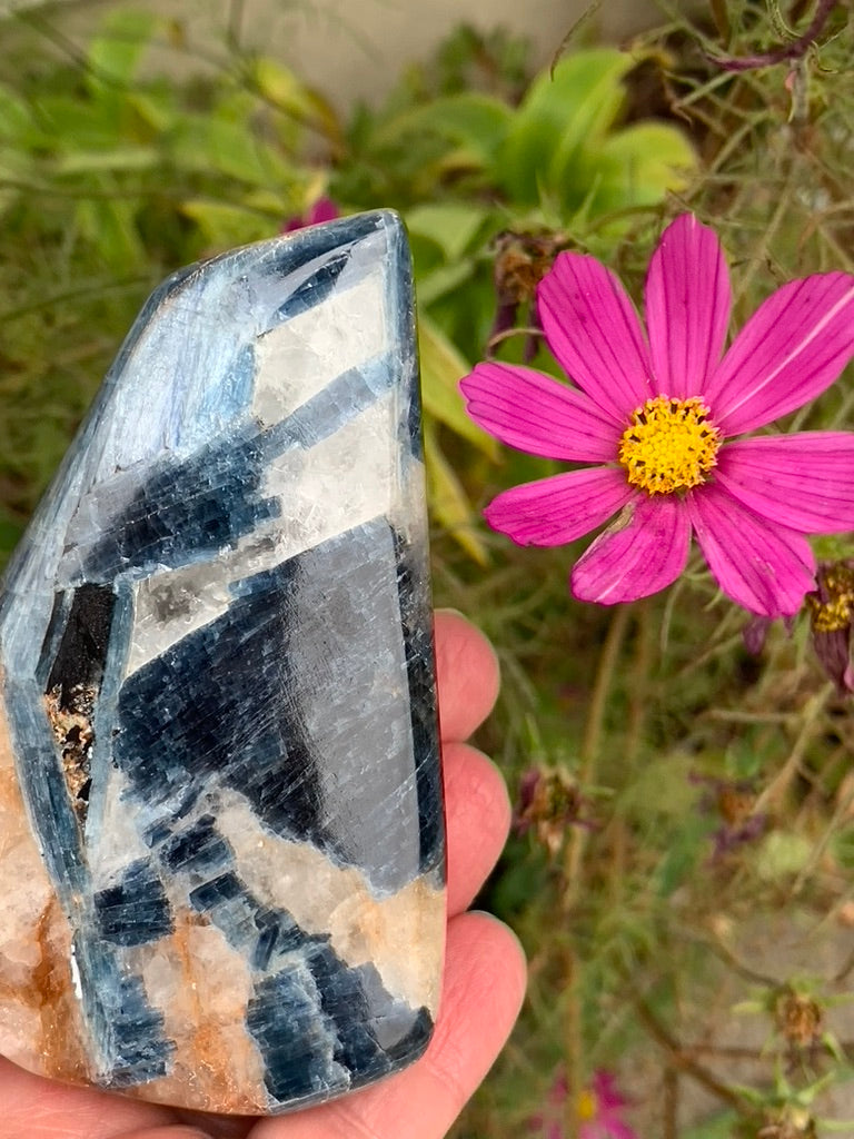 Blue  Kyanite with Quartz Free Form - India