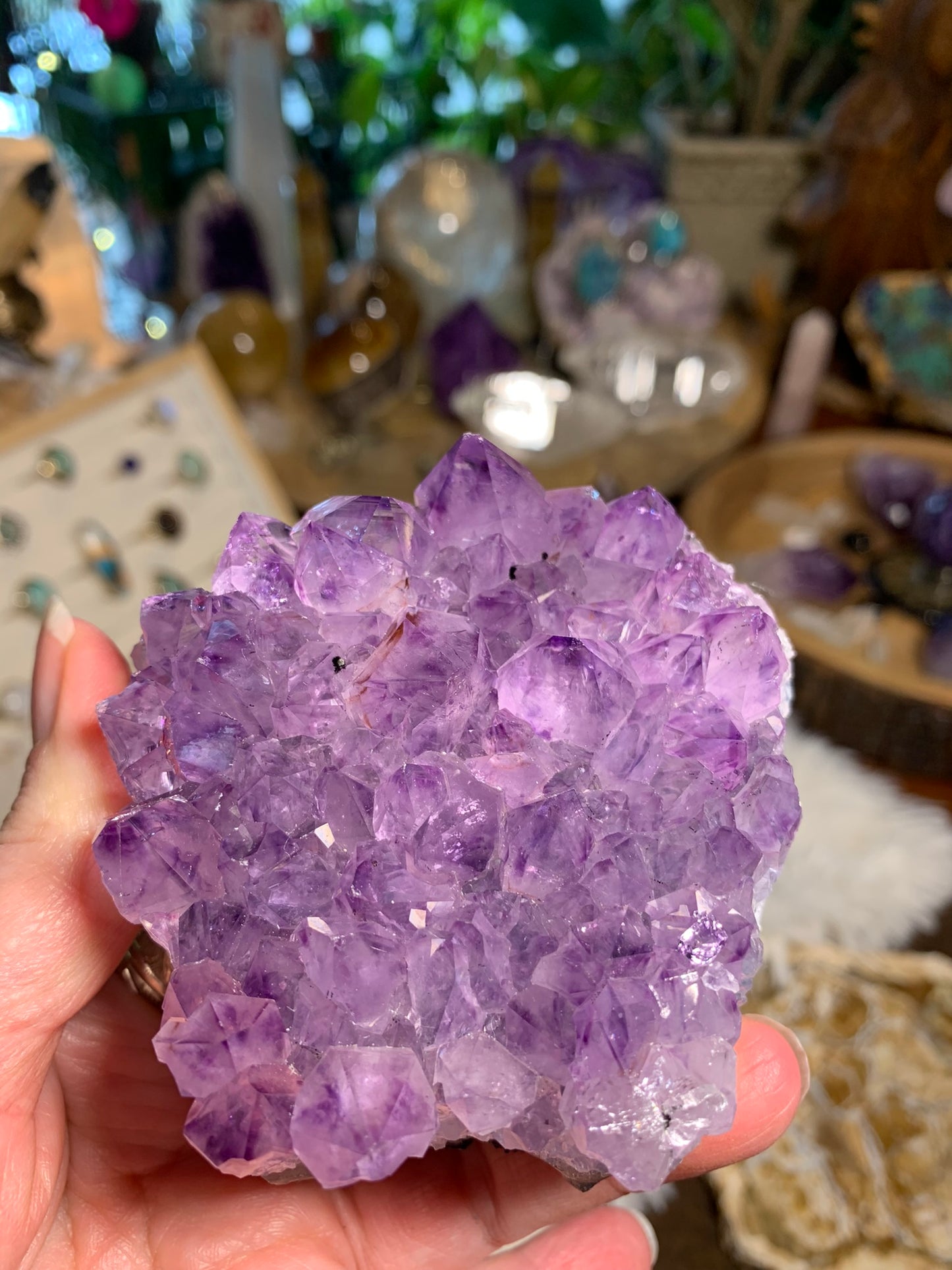 Phantom Amethyst - Cluster - Brazil