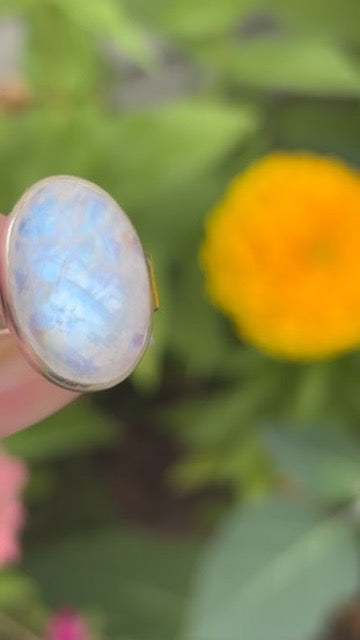 Rainbow Moonstone Ring size 8