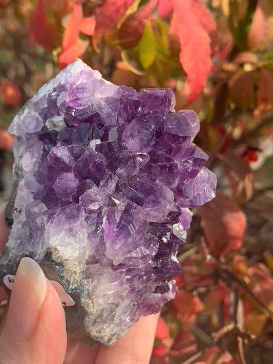 Amethyst Cluster