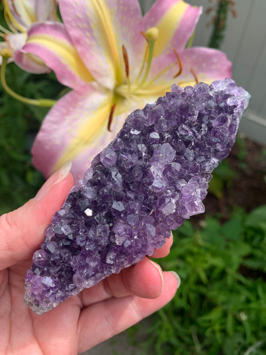 Amethyst Cluster