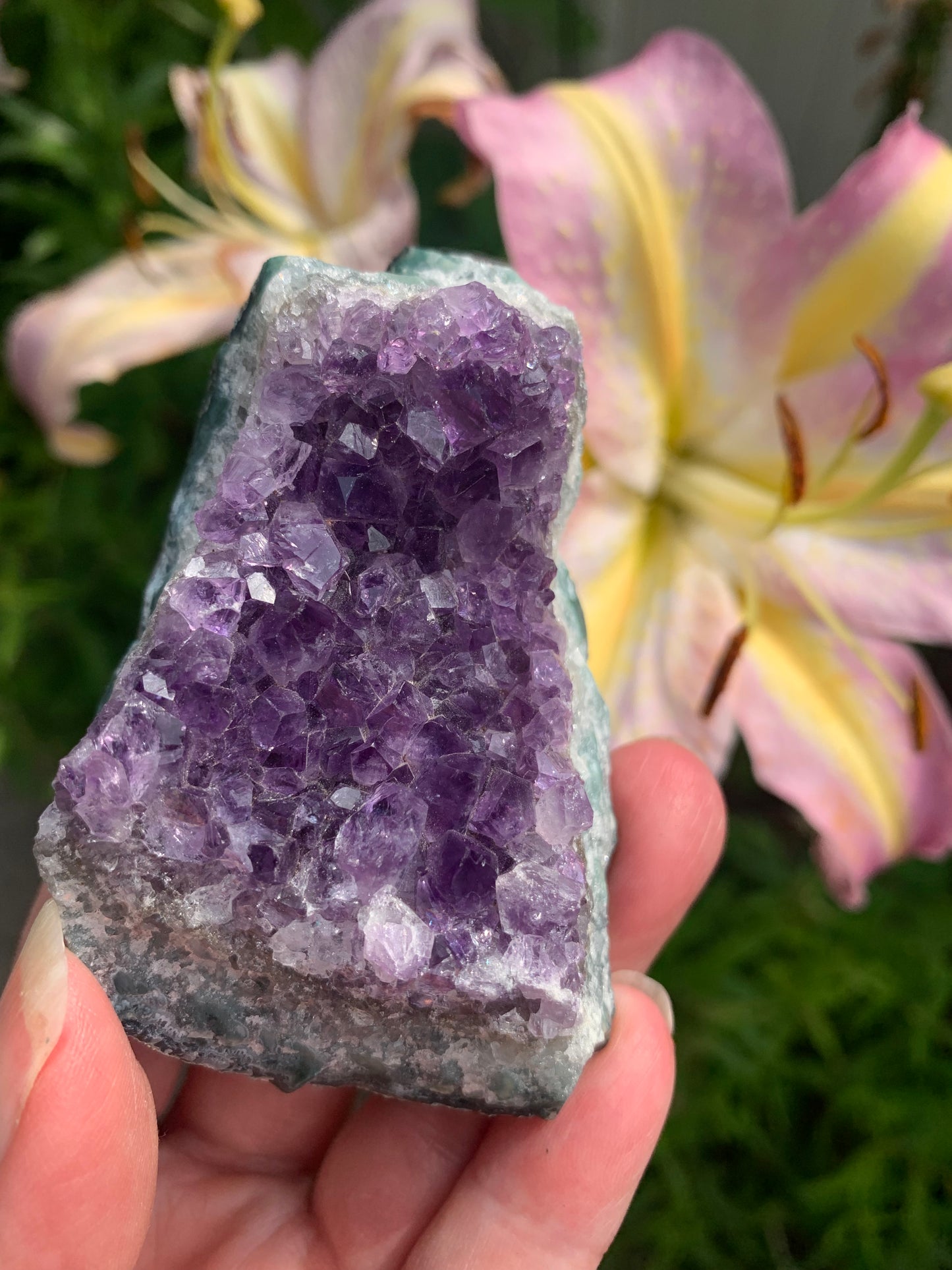 Amethyst Cluster