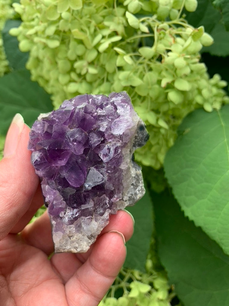 Amethyst Cluster