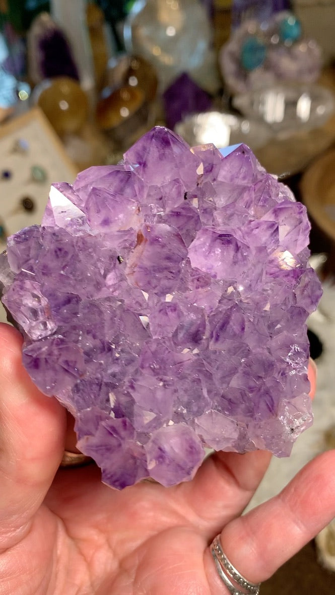 Phantom Amethyst - Cluster - Brazil