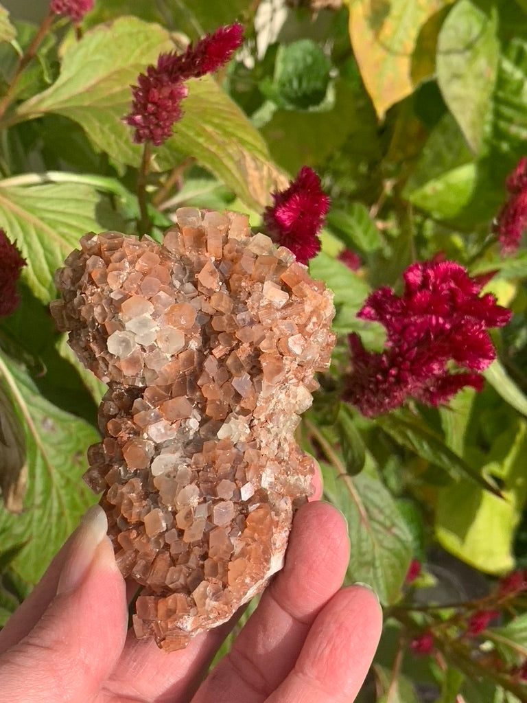 Star Aragonite Cluster