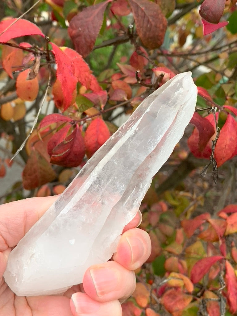 Lemurian Quartz Point