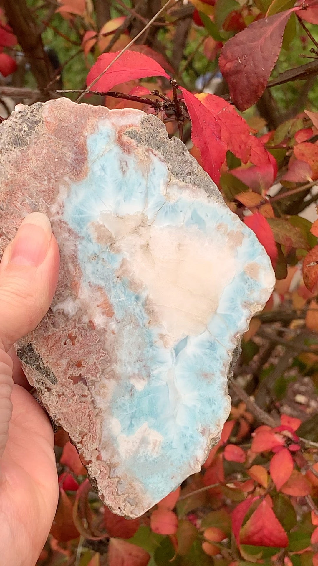 Larimar Slice - Polished both sides