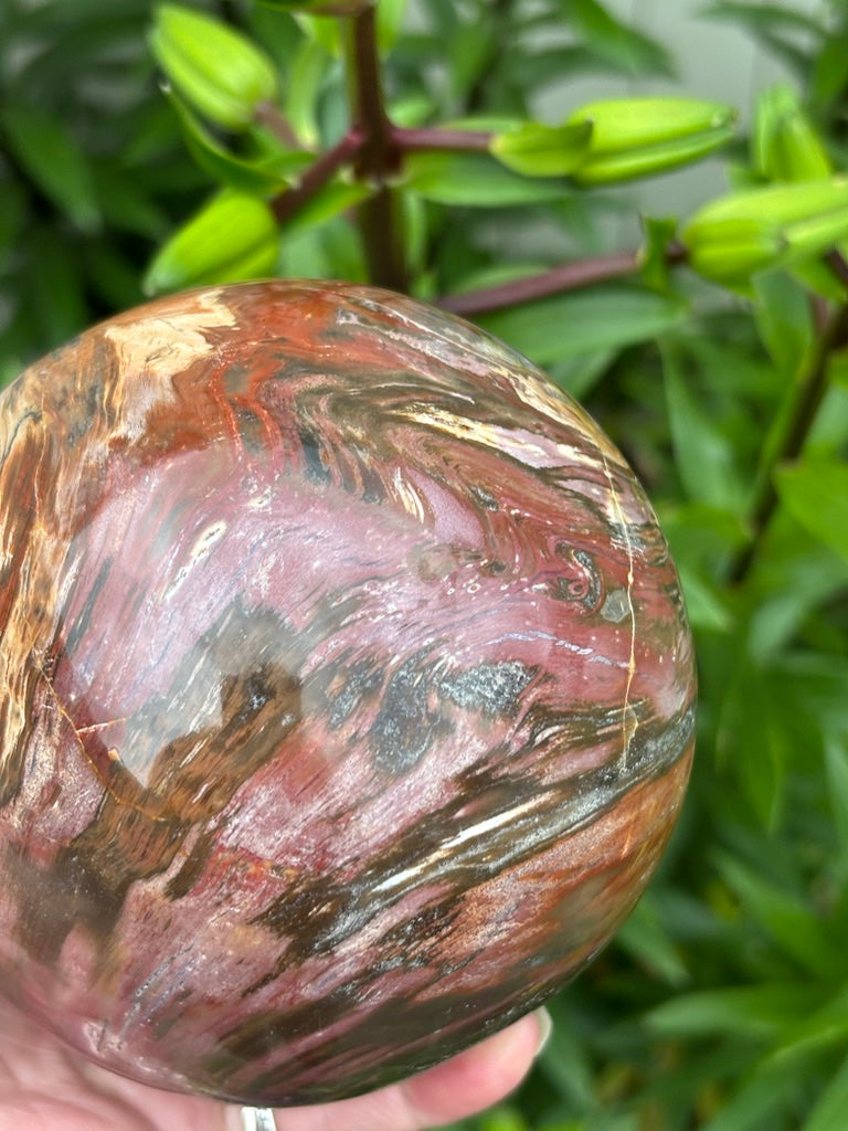 Petrified Wood Sphere - Madagascar