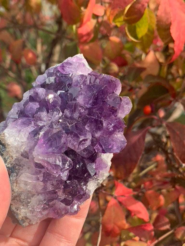 Amethyst Cluster