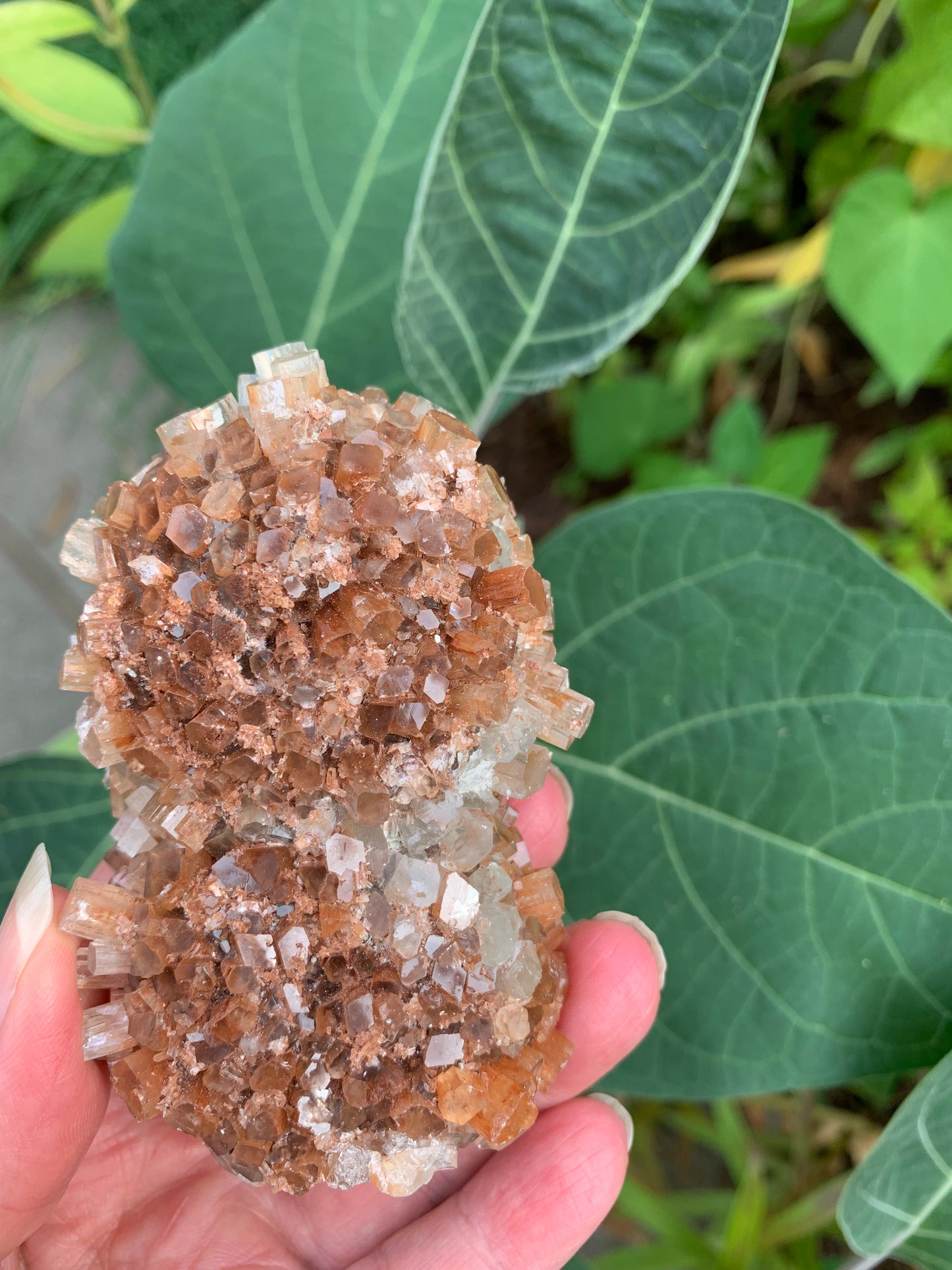 Star Aragonite Cluster