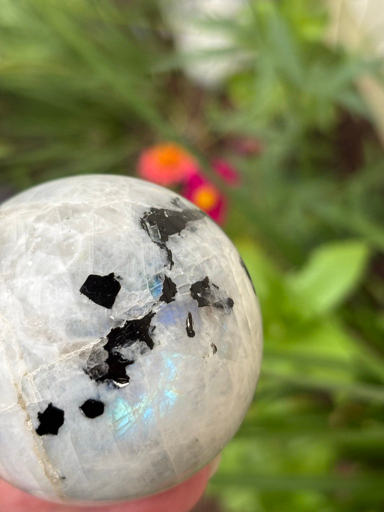 Rainbow Moonstone - Sphere | India