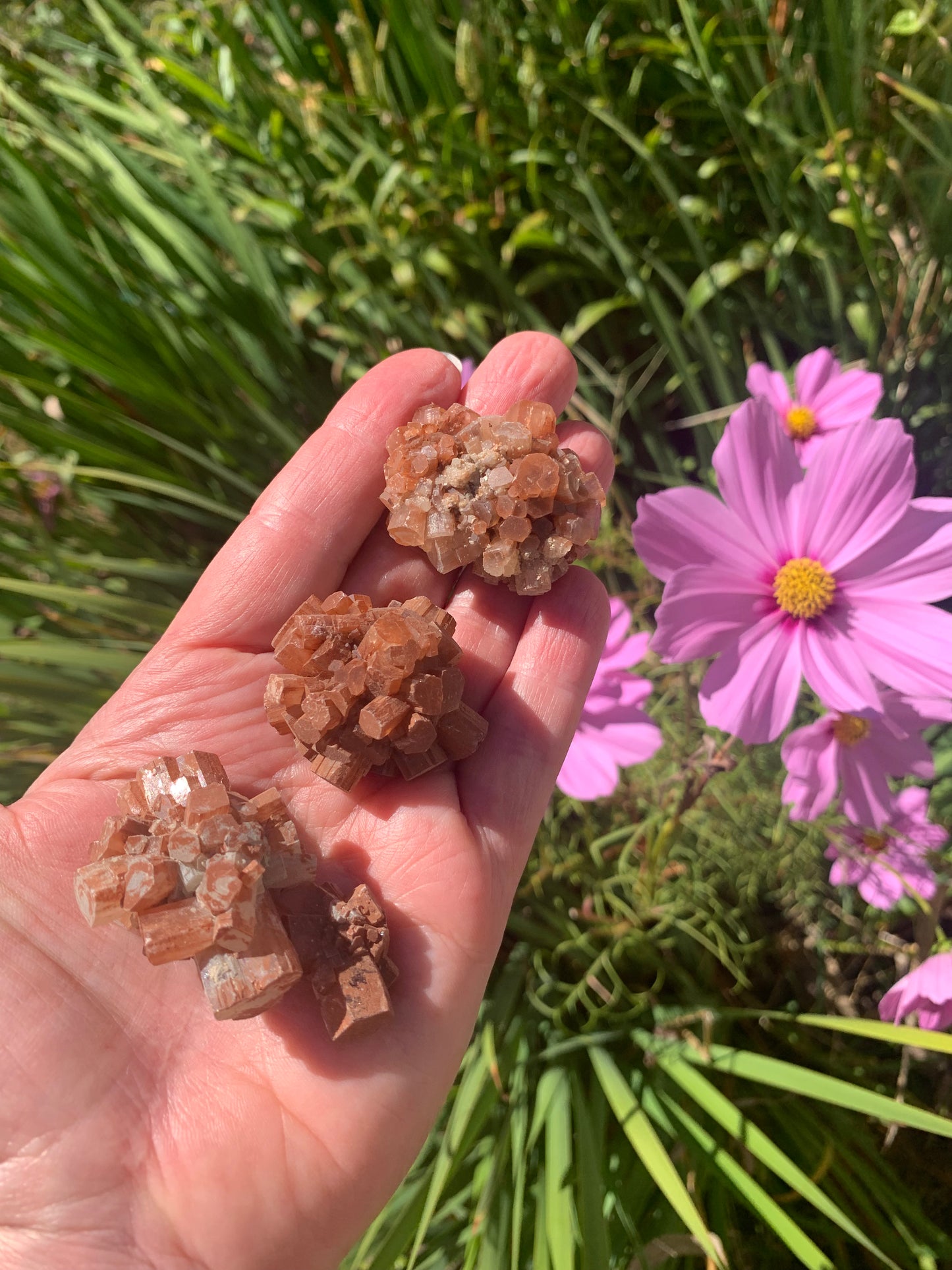 Star Aragonite Cluster