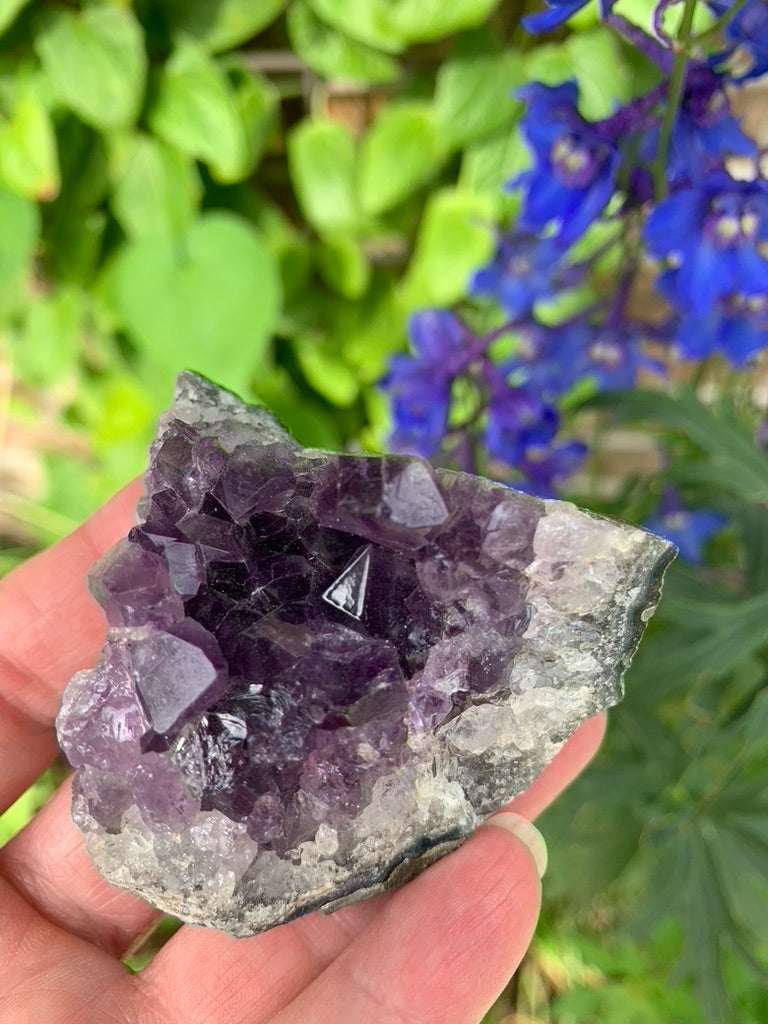 Amethyst Cluster