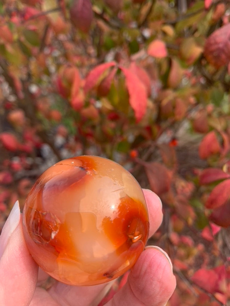 Carnelian Sphere - Madagascar