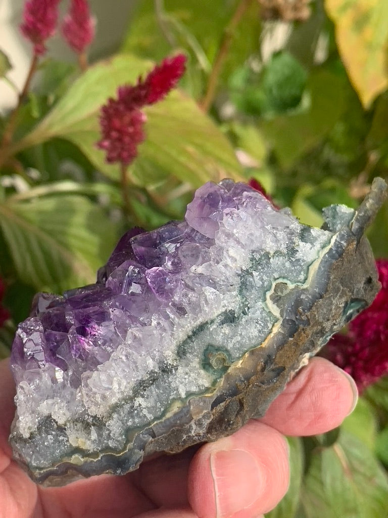 Amethyst Cluster with Goethite Inclusions