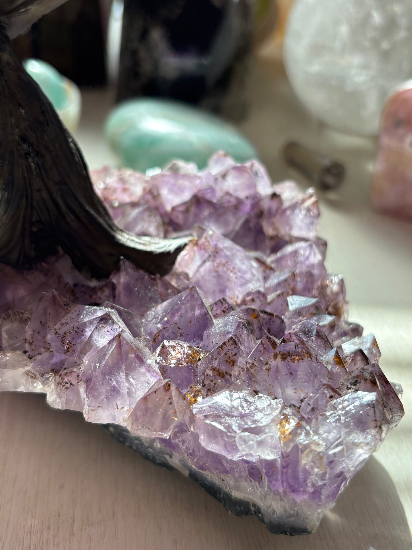 Amethyst Tree on Cluster - Medium - Brazil