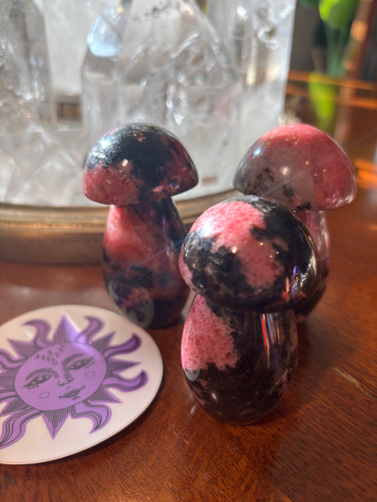 Rhodonite - Mushroom | Madagascar