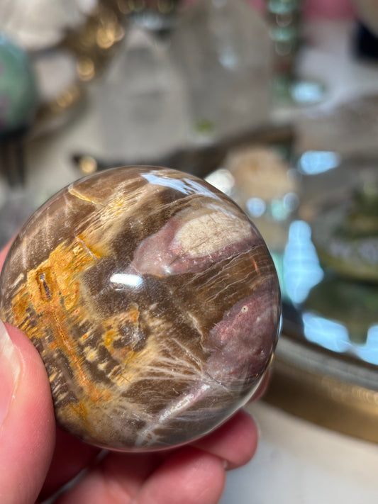 Petrified Wood Sphere - Madagascar
