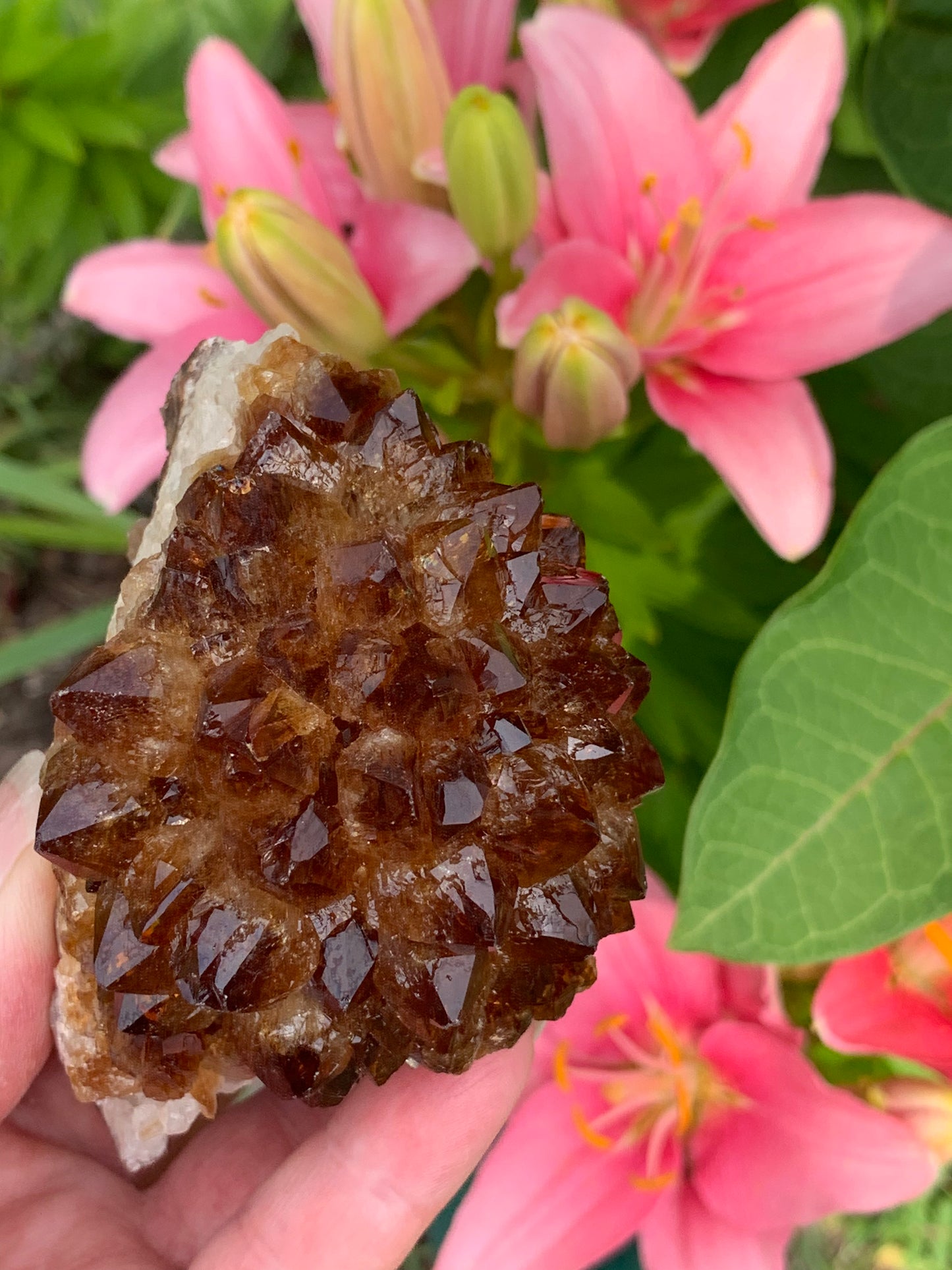 Pine Citrine Cluster - Brazil