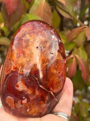 Carnelian Free Form - Madagascar